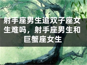 射手座男生追双子座女生难吗，射手座男生和巨蟹座女生