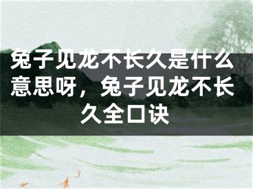 兔子见龙不长久是什么意思呀,兔子见龙不长久全口诀