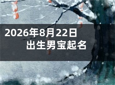 2026年8月22日出生男宝起名