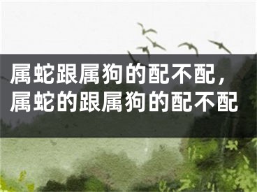 属蛇跟属狗的配不配，属蛇的跟属狗的配不配