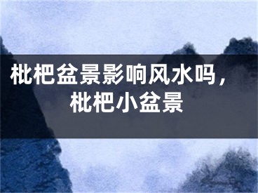 枇杷盆景影响风水吗，枇杷小盆景