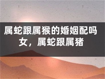 属蛇跟属猴的婚姻配吗女，属蛇跟属猪