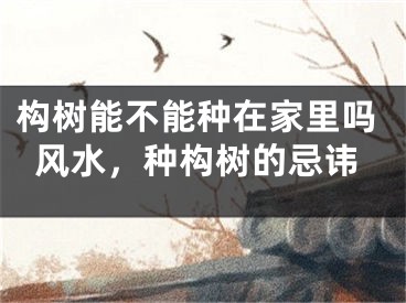 构树能不能种在家里吗风水，种构树的忌讳
