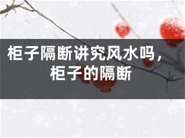 柜子隔断讲究风水吗，柜子的隔断
