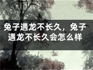 兔子遇龙不长久，兔子遇龙不长久会怎么样