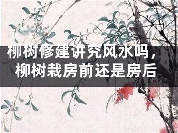 柳树修建讲究风水吗，柳树栽房前还是房后
