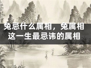 兔忌什么属相，兔属相这一生最忌讳的属相