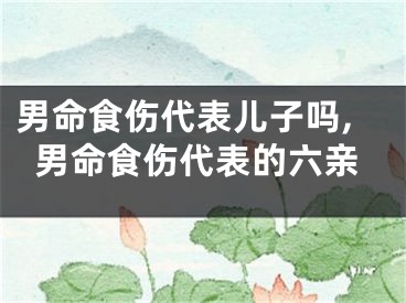 男命食伤代表儿子吗,男命食伤代表的六亲