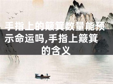 手指上的簸箕数量能预示命运吗,手指上簸箕的含义