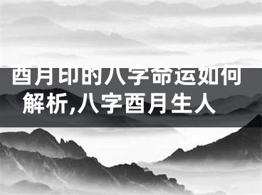 酉月印的八字命运如何解析,八字酉月生人