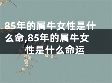 85年的属牛女性是什么命,85年的属牛女性是什么命运