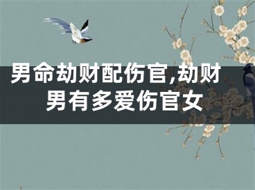 男命劫财配伤官,劫财男有多爱伤官女