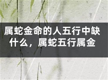 属蛇金命的人五行中缺什么,属蛇五行属金