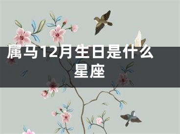 属马12月生日是什么星座