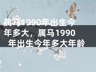 属马1990年出生今年多大，属马1990年出生今年多大年龄