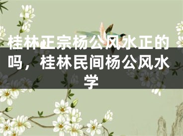 桂林正宗杨公风水正的吗,桂林民间杨公风水学