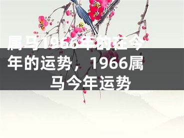 属马1966年的在今年的运势，1966属马今年运势