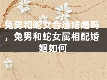 兔男和蛇女合适结婚吗，兔男和蛇女属相配婚姻如何