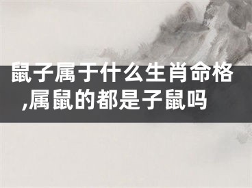 鼠子属于什么生肖命格,属鼠的都是子鼠吗