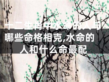 十二生肖中水命的人与哪些命格相克,水命的人和什么命最配