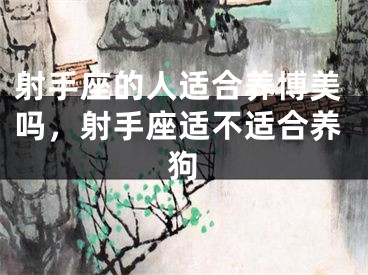 射手座的人适合养博美吗，射手座适不适合养狗