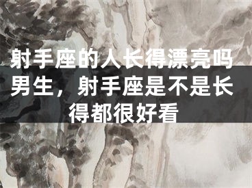 射手座的人长得漂亮吗男生,射手座是不是长得都很好看