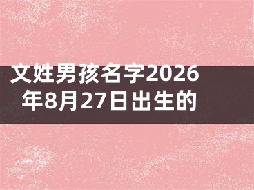 文姓男孩名字2026年8月27日出生的