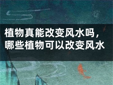 植物真能改变风水吗，哪些植物可以改变风水
