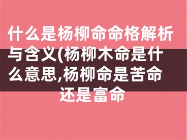 什么是杨柳命命格解析与含义(杨柳木命是什么意思,杨柳命是苦命还是富命
