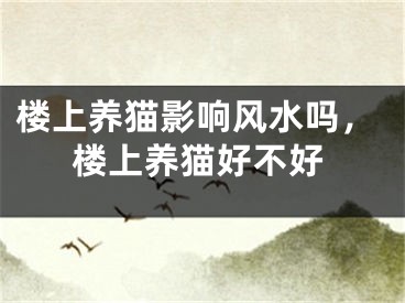 楼上养猫影响风水吗，楼上养猫好不好