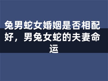 兔男蛇女婚姻是否相配好，男兔女蛇的夫妻命运