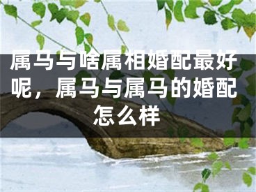 属马与啥属相婚配最好呢，属马与属马的婚配怎么样