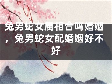兔男蛇女属相合吗婚姻，兔男蛇女配婚姻好不好