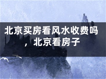 北京买房看风水收费吗，北京看房子