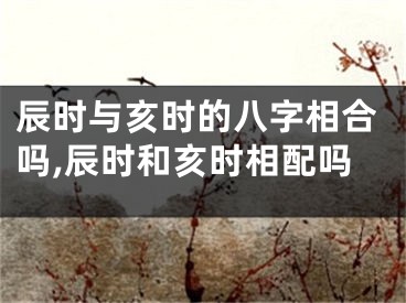 辰时与亥时的八字相合吗,辰时和亥时相配吗