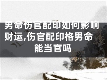 男命伤官配印如何影响财运,伤官配印格男命能当官吗