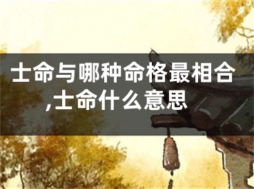 士命与哪种命格最相合,士命什么意思