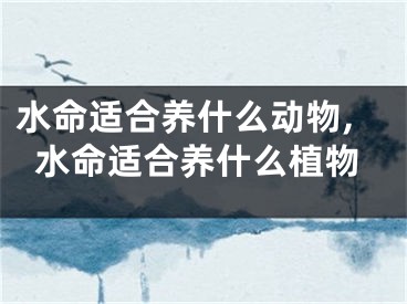 水命适合养什么动物,水命适合养什么植物