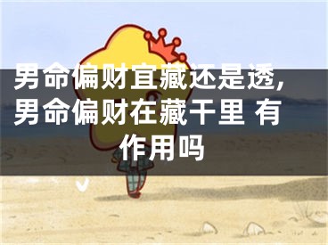 男命偏财宜藏还是透,男命偏财在藏干里 有作用吗