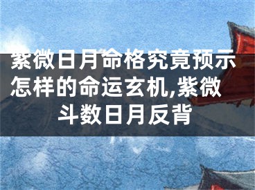 紫微日月命格究竟预示怎样的命运玄机,紫微斗数日月反背