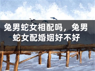 兔男蛇女相配吗，兔男蛇女配婚姻好不好