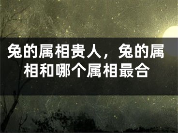 兔的属相贵人，兔的属相和哪个属相最合
