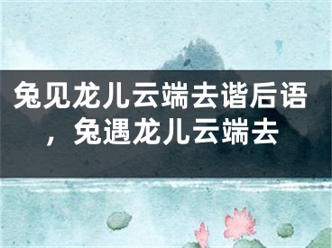 兔见龙儿云端去谐后语，兔遇龙儿云端去