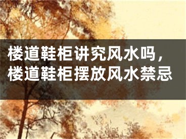 楼道鞋柜讲究风水吗,楼道鞋柜摆放风水禁忌