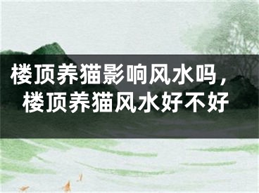 楼顶养猫影响风水吗，楼顶养猫风水好不好