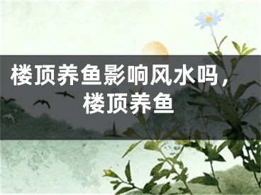 楼顶养鱼影响风水吗，楼顶养鱼