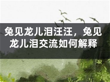 兔见龙儿泪汪汪，兔见龙儿泪交流如何解释