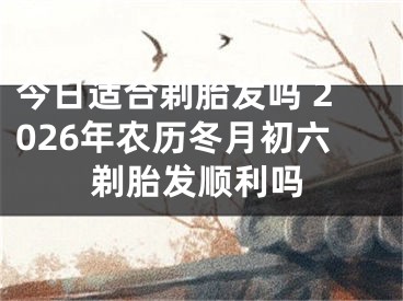今日适合剃胎发吗 2026年农历冬月初六剃胎发顺利吗