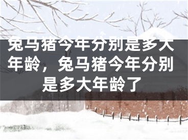 兔马猪今年分别是多大年龄,兔马猪今年分别是多大年龄了