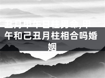 丑月甲午日柱男命,甲午和己丑月柱相合吗婚姻